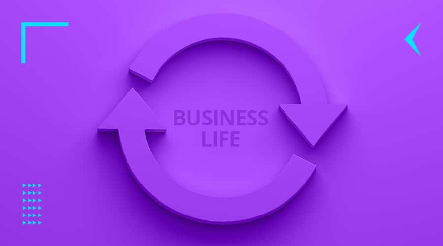 Business Life Cycle