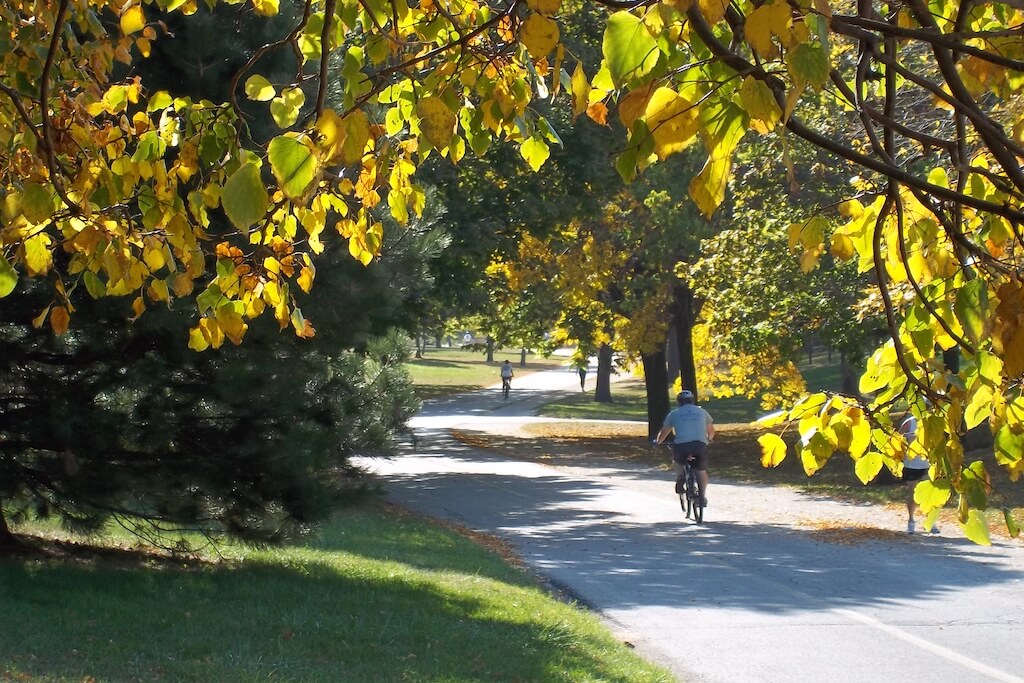 Chicago Lake Front Trail