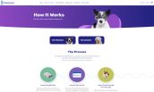 Dognomics full web design image