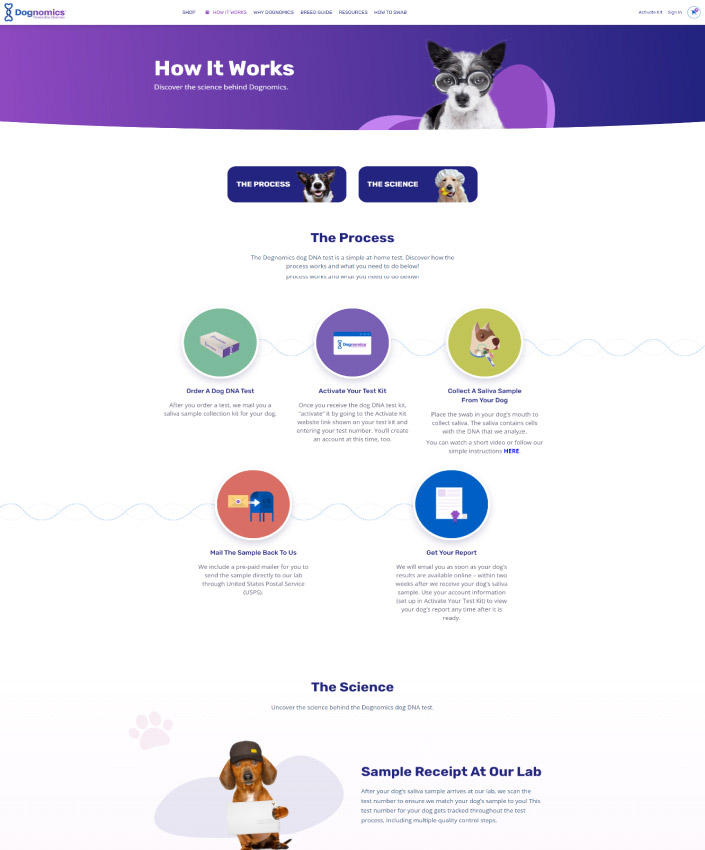 Dognomics full web design image