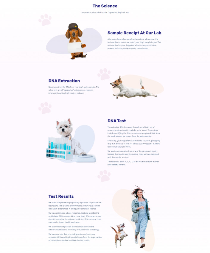 Dognomics full web design image