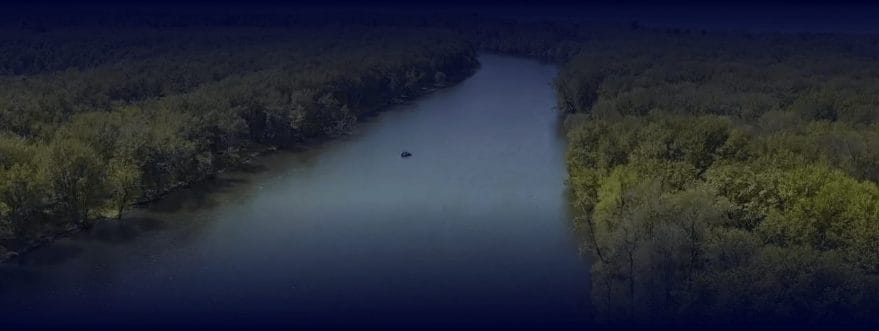 A river surrounded by green trees