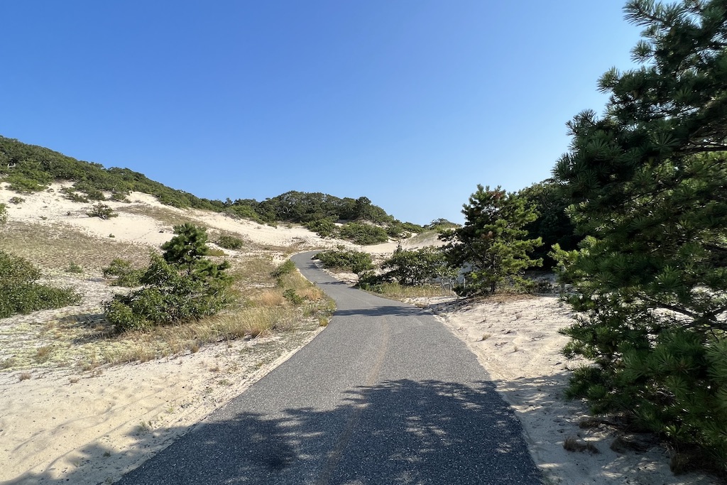 Provincetown sand dunes 