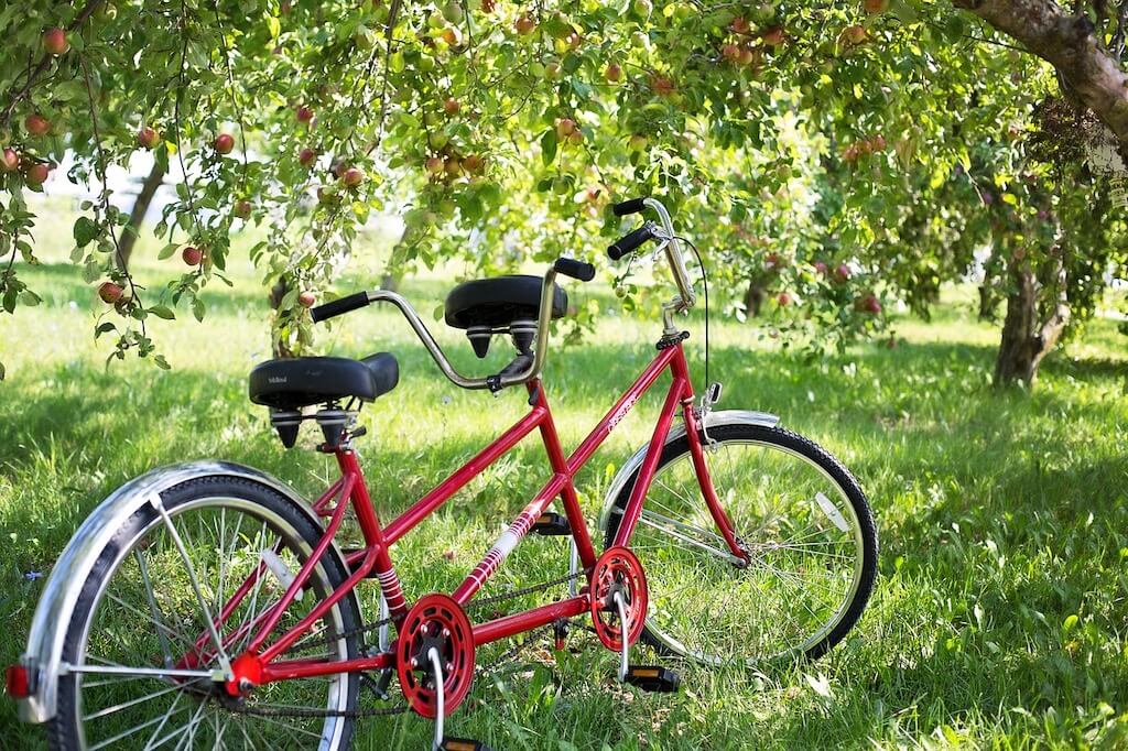 Bicycles Built for Two: Everything You Need to Know About Tandem Bikes