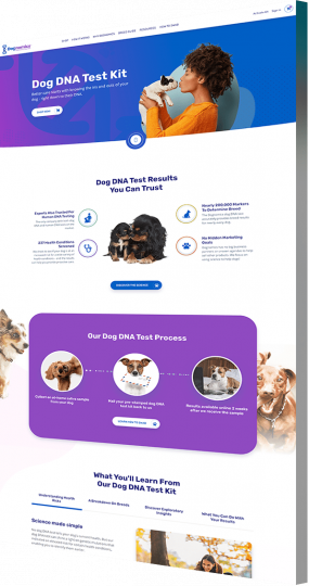 Auto Repair Website Design Company sample: Dognomics