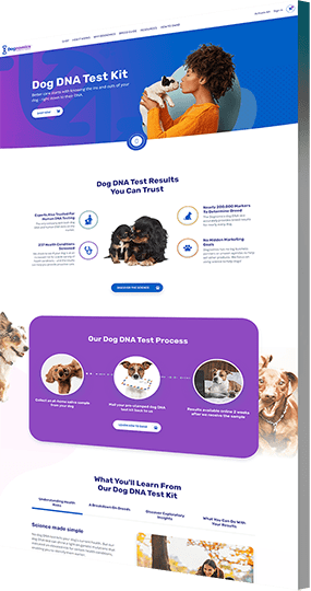 WordPress web design company portfolio example: Dognomics