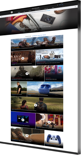 WordPress web design company portfolio example: Sony Rewards